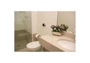a bathroom with a sink and a toilet and a mirror at Mariano Palace Hotel in Campinas +26 photos