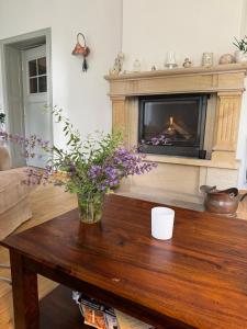 Billede fra billedgalleriet på Vila Anna i Želízy