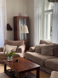 Billede fra billedgalleriet på Vila Anna i Želízy