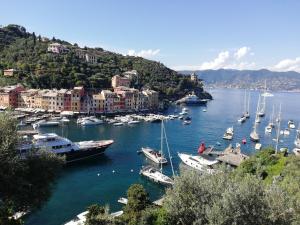 a bunch of boats in a harbor with buildings at Apartment/Studio il Girasole in Rapallo
