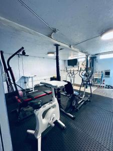 Γυμναστήριο ή/και όργανα γυμναστικής στο Diamond Apartment with GYM - 2 miles to Fort Sill & just blocks to downtown!