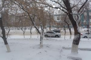 a group of trees in a snow covered parking lot at Махаббат in Petropavlovsk