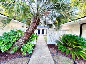 a palm tree in front of a house at Peaceful APT by Lakebottom w Arcade 8mi Ft Moore in Columbus