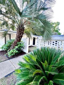 a palm tree in front of a white fence at Peaceful APT by Lakebottom w Arcade 8mi Ft Moore in Columbus
