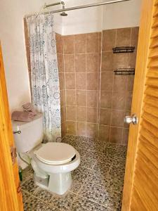 a bathroom with a toilet and a shower at Private Room with Starlink and AC Steps from the Sea in Brisas de Zicatela