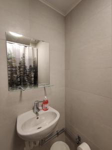 a bathroom with a sink and a mirror and a toilet at Vandrarhem 11 RUM & KÖK in Sandviken