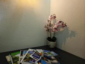 Imagine din galeria proprietății Modern Apartments Neuburg O - NEU - 2 Zimmer, Komfort, Top Ausgestattet, Smart TV, Wi-Fi în Neuburg an der Donau