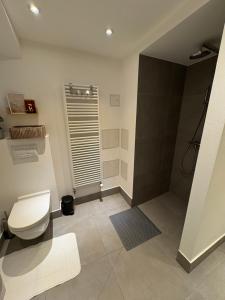 a bathroom with a toilet and a shower at Miltenberg Moments Ferienwohnung in Miltenberg +18 photos