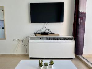 una TV a schermo piatto in cima a un termosifone in soggiorno di bat-yam 2 Bedrooms on the beach a Bat Yam Altre 4 foto
