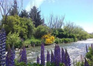 Naturlandskabet i nærheden af chaletet