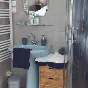W łazience znajduje się niebieska umywalka i prysznic. w obiekcie Villa Maëlla - 2 gîtes - jardin, piscine et SPA privés w mieście Saint-Michel-Tubœuf