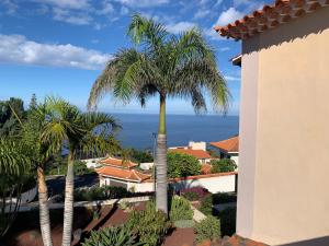 a view of the ocean from a building with palm trees at Apartamento MAR Y TEIDE in Sauzal