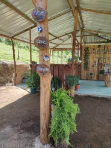 Billede fra billedgalleriet på Finca Vegonia Arqueológica i Morelia