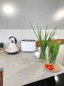 Dapur atau dapur kecil di Nocleg na skraju puszczy