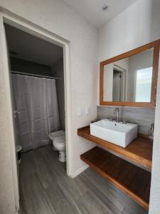 een badkamer met een wastafel, een toilet en een spiegel bij Depto céntrico en Pinamar con parrilla y piscina en la terraza in Pinamar