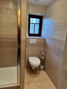 a bathroom with a toilet and a shower and a window at Na Hřebenovce in Krompach +44 photos