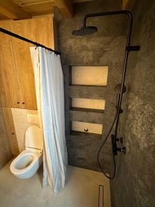 a small bathroom with a toilet and a shower at Black Chalet in Žabljak +30 photos