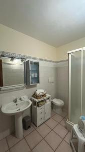 a bathroom with a sink and a toilet and a shower at La Dimora Di Ale in Monterosi