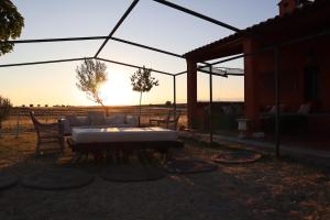 eine Terrasse mit einem Tisch und Stühlen unter einem Zelt in der Unterkunft Finca Rural con piscina en Calera y Chozas in Talavera de la Reina