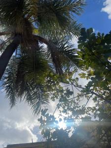 Fotografie z fotogalerie ubytování Le soleil v destinaci Alžíř