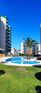 ビリャホヨサにあるParaiso Costero en Benidormのヤシの木と建物のある大型スイミングプール