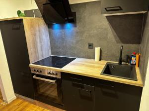 a kitchen with a black stove and a sink at Fächerlofts Black Forest Terrasse 40qm Studio WLAN - Messe Karlsruhe in Durmersheim