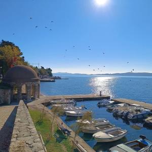 a group of boats are docked in a harbor at Delux Apartman Gabrijel in Zadar