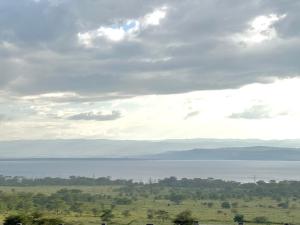 a bird flying over the water under a cloudy sky at Casa Bellà Game View in Nakuru