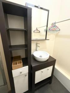 a bathroom with a sink and a mirror at Studio Confort Pessac Centre avec Parking in Pessac