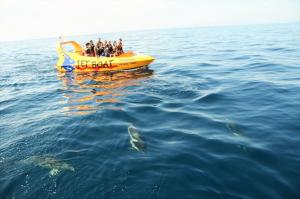 a group of people on a boat in the water at Apartamentos Borda D´Agua in Albufeira