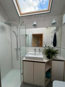 a bathroom with a sink and a shower with a skylight at Draußendrin Cabin im schönen Altmühltal in Kelheim