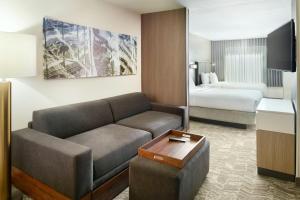 a hotel room with a couch and a bed at SpringHill Suites by Marriott Atlanta Six Flags in Lithia Springs