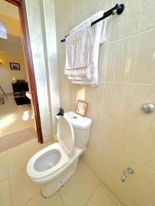 a bathroom with a toilet and a shower at Casa Bellà section 58 in Nakuru +31 photos