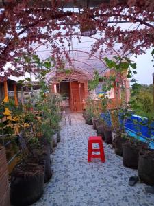 Κήπος έξω από το Can Tho Farmstay - Let's Go Can Tho +12 φωτογραφίες