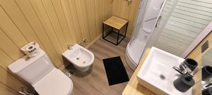 ein Badezimmer mit weißer Toilette und Waschbecken in der Unterkunft Alquiler Turistico Centro Villa la Angostura in Villa La Angostura