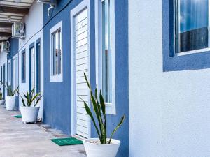 因佩拉特里斯Vila Imper Host Itz - Apês com Wi-fi I A/C a 5 min. do Imperial Shopping的人行道上布满盆栽植物的蓝色和白色建筑