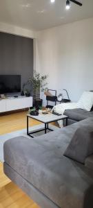 A seating area at Apartman Riva