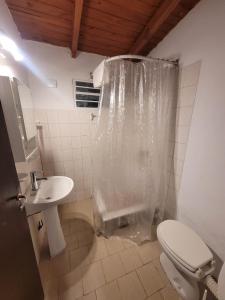a bathroom with a shower and a toilet and a sink at Casita Las Lavandas in El Bolsón +9 photos