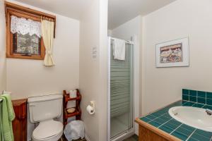 een badkamer met een toilet, een wastafel en een douche bij Nakiska Bear Ranch in Clearwater +29 foto's