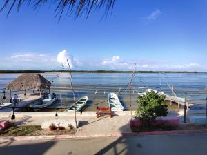 a dock with boats on a body of water at La Casa de la Ría in Río Lagartos