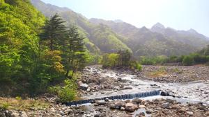 een rivier met rotsen en bomen op een berg bij Sokcho Pine View Hotel in Sokcho