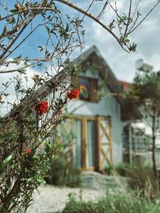 Φωτογραφία από το άλμπουμ του Homestay - Nhà Cỏ Lâu Đà Lạt σε Da Thien