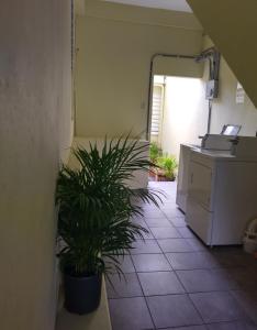 Fotografie z fotogalerie ubytování Boricua 3 Studio Apt C Air Conditioning Wi Fi v destinaci Yauco