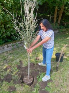 Afbeelding uit fotogalerij van Apartamento Rural Casa Carolina in Brañella