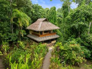 En have udenfor Copa De Arbol Beach & Rainforest Resort