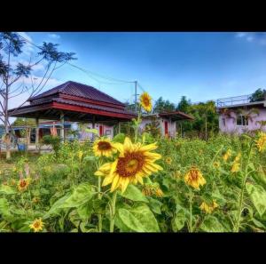 Zahrada ubytování เครือเคียงดาวรีสอร์ท + 1 fotografie