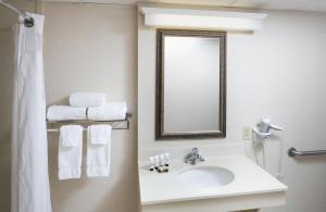 
a bathroom with a sink, mirror, and towel rack at Red Lion Hotel Harrisburg Hershey in Harrisburg

