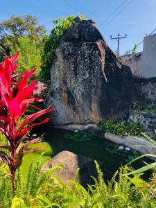 Giardino di Summerfield