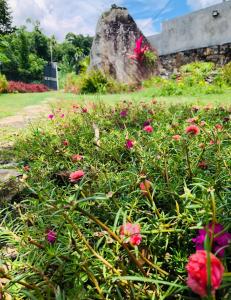 Giardino di Summerfield