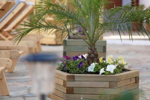 Gallery image of Olga Studios in Kokkíni Khánion +26 photos